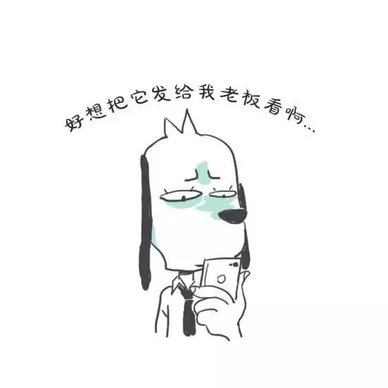 万水千山总是情,不要加班行不行