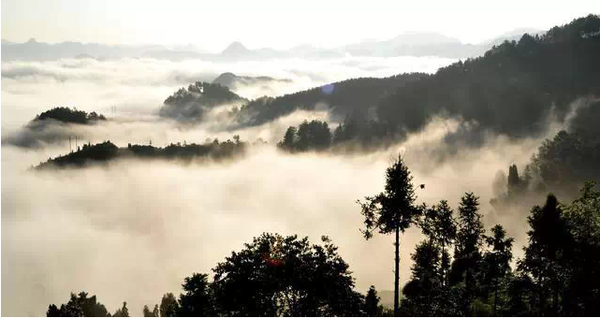 贵定云雾山