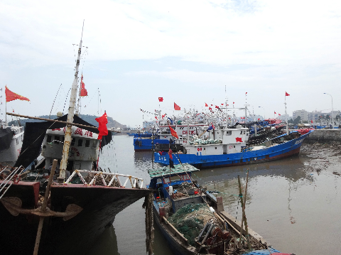 今天上午东海洋面翻滚的波浪渐渐加大,岸边的岩头浪也开始直冲天空,在