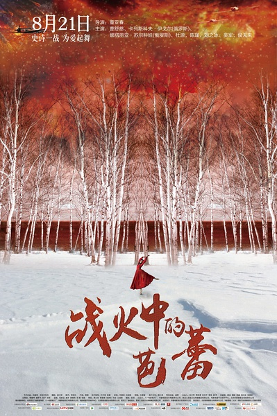 《战火中的芭蕾:一曲霓裳红日晚
