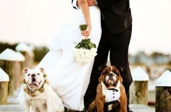 一对狗男女婚纱照_一对狗男女的结婚照(2)