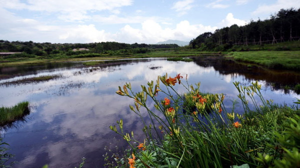 福建长汀:客家母亲河湿地唯美风光
