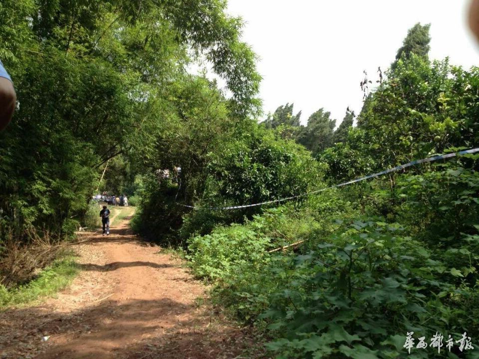8月22日早晨8点，家住资阳市安岳县乾龙乡9村的14岁女孩婷婷（化名），被妈妈喻女士找到时，被发现死在离家几百米远的柚子林里。