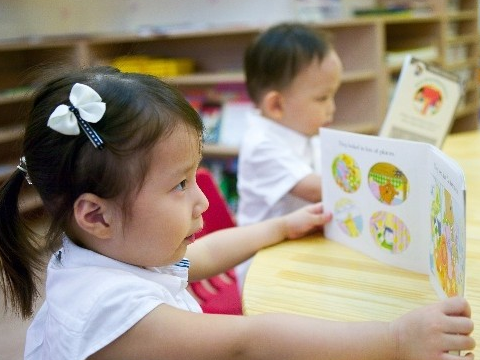 2016安徽省幼儿教师考试专业知识--课程概述