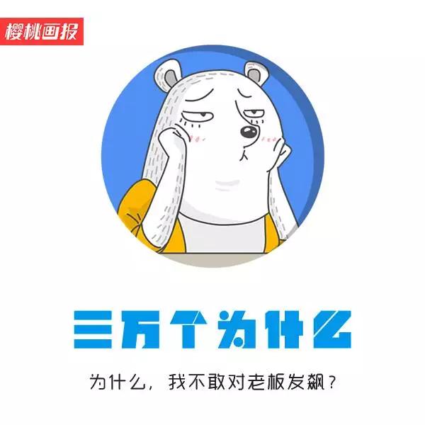 【吐槽】为什么,我不敢对老板发飙?