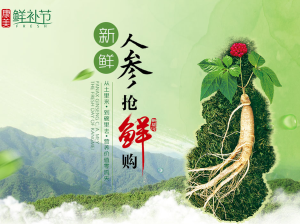 从地到碗一步之遥,新鲜人参抢"鲜"购