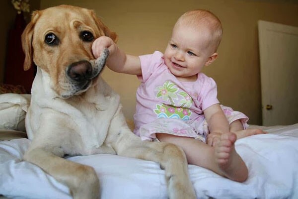 18张可爱的小孩子和狗狗摄影照片-搜狐