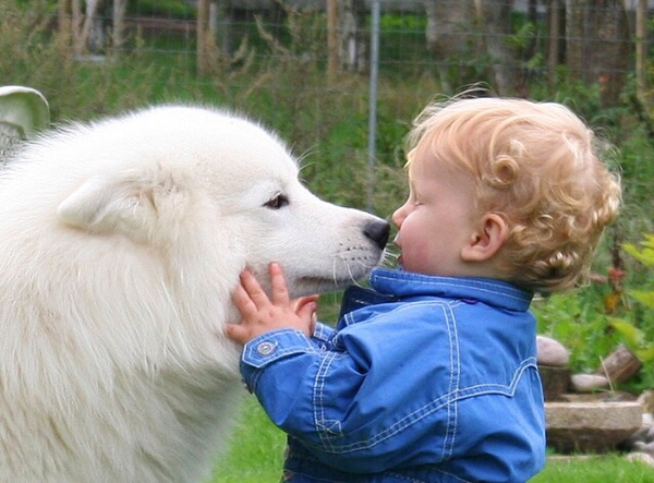 18张可爱的小孩子和狗狗摄影照片-搜狐