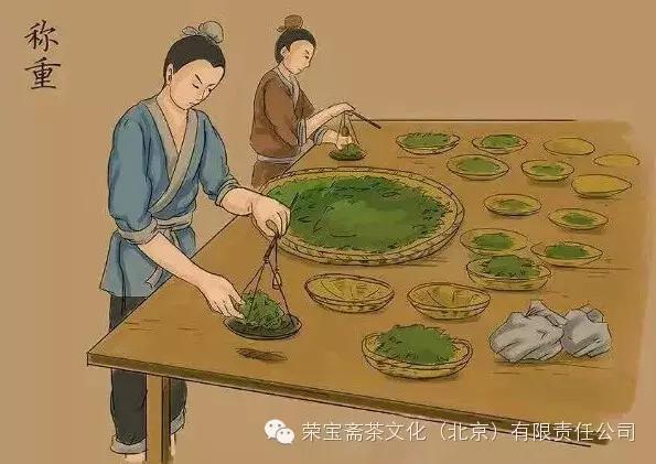 茶的制作工序【相关词_ 茶的制作过程】