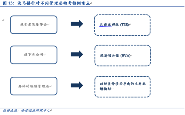 资本怪兽:重磅研报揭秘谈马锡控股 | 公司志