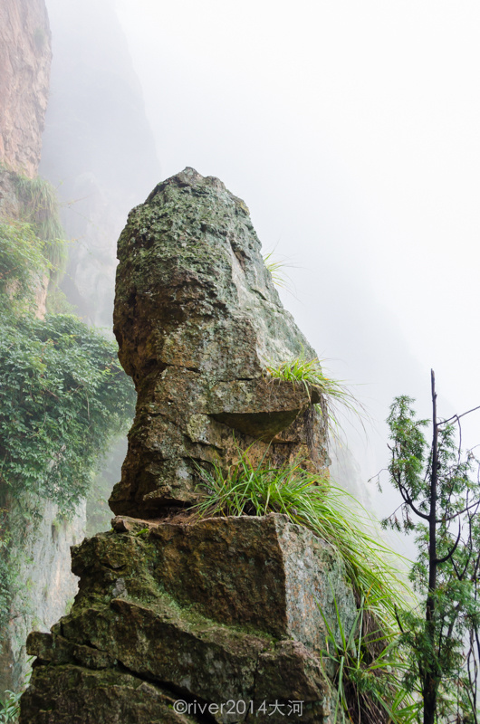 山上的奇峰异石并不鲜见,上山途中不会觉得无聊,四周全是风景.