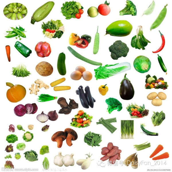 蔬菜怎样吃才能减肥?_范志红