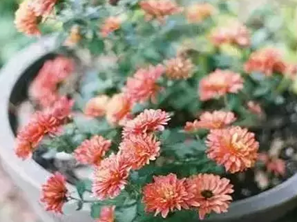 修养的最高境界 带你看透人生