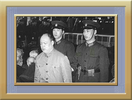 姚文元的最后四十年