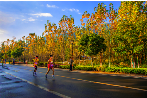 奔跑在 中国最美马拉松赛道 ,是一种什么样的体