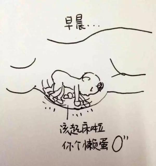 该起床啦!你个懒蛋!