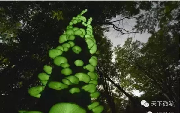 鬼节来点刺激的 全球最容易见鬼的旅游地-搜