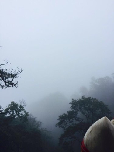 在最高峰向望去,一片云雾,非常映衬道家修仙场地的意境