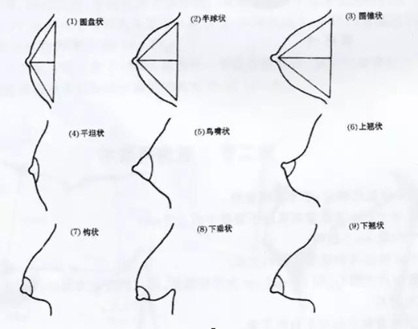 桃花泛滥的女人手相特征解析