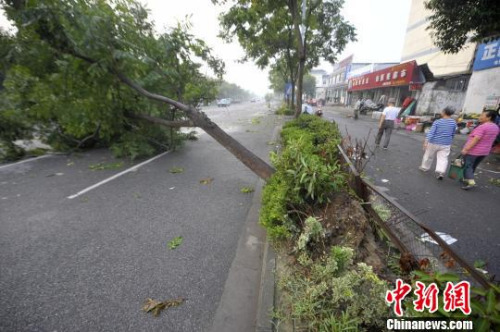 扬州遭遇强对流天气 多地一片狼藉居民称太恐