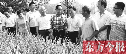 袁隆平：超级稻亩产能超千公斤 3年完成总理任务