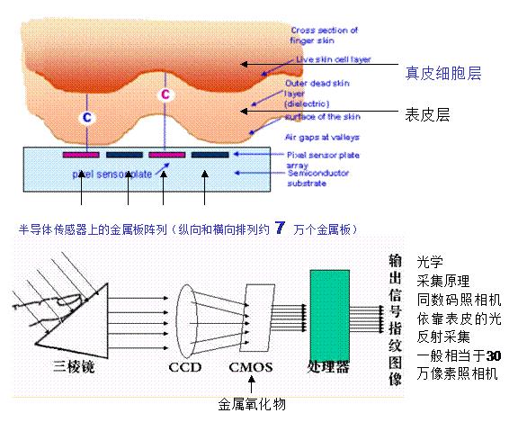 下面我就这两种指纹模块的成相原理和结构来分析这两种模块的利弊