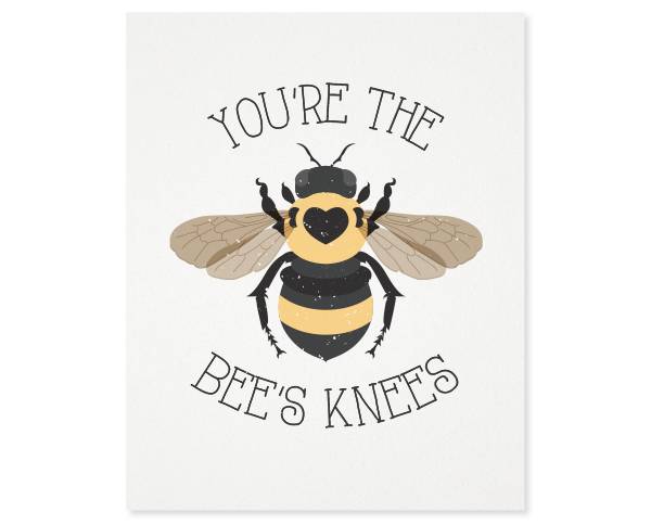 英语] 蜜蜂的膝盖(Bee's knees)是什么意思?
