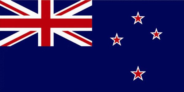 新西兰公布四幅新国旗备选方案 银蕨叶取代米字旗-搜狐新闻