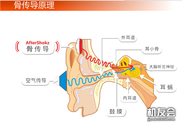 看测评 | AfterShokz Bluez2骨传导蓝牙耳机