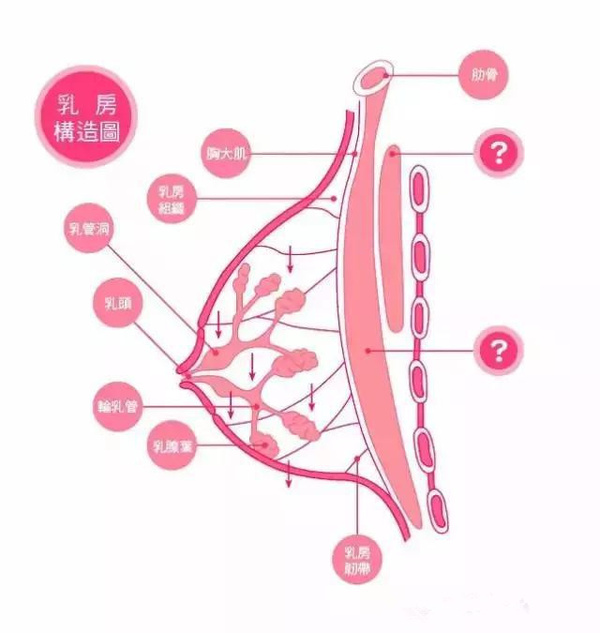 女人,别让胸部泄露你的年龄