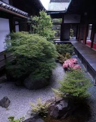小日本的院子,果然不同凡响!你见过吗?
