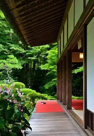 小日本的院子,果然不同凡响!你见过吗?