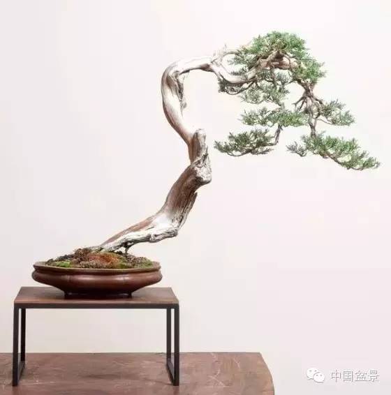 辰Ʒ