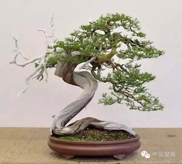 η̵ͬذ. 辰ӭ!
