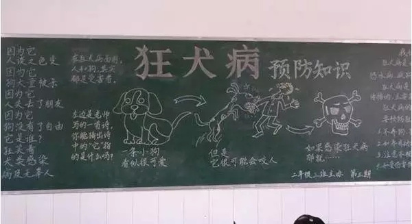 感恩Ganen萌学堂第19期:关于狂犬病你必须知
