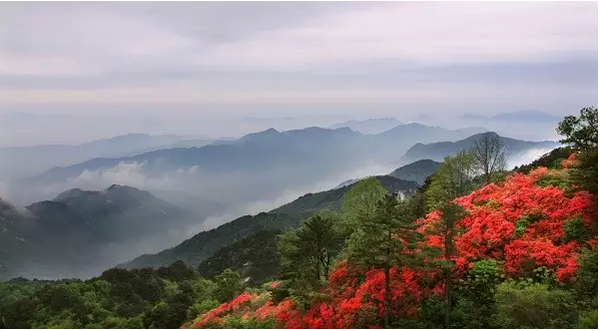 固始梯田:大别山脚下的明珠 | 豫记