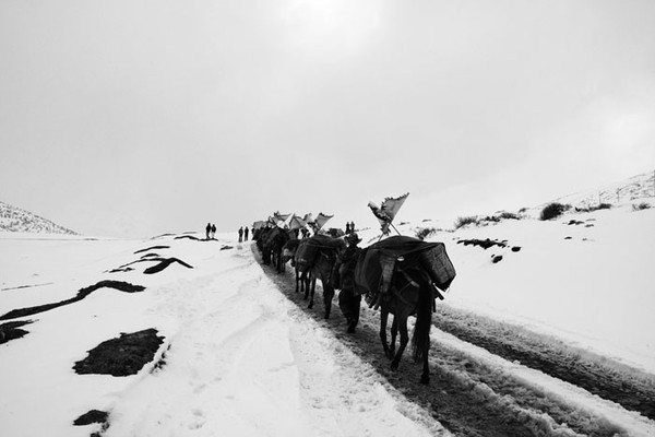 中国的茶马古道