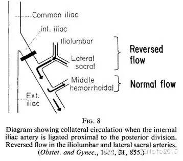 热议|髂内动脉结扎止血的生理学,从一篇47年前的论文说起