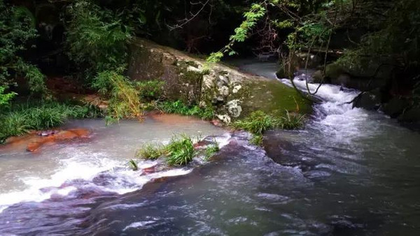 相思河风景区