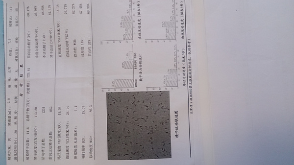 上面两个图是一位门诊患者的精液分析报告,图1显示该患者正常形态精子