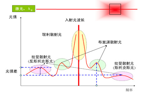 激光探针检测肿瘤-拉曼光谱技术前景巨大