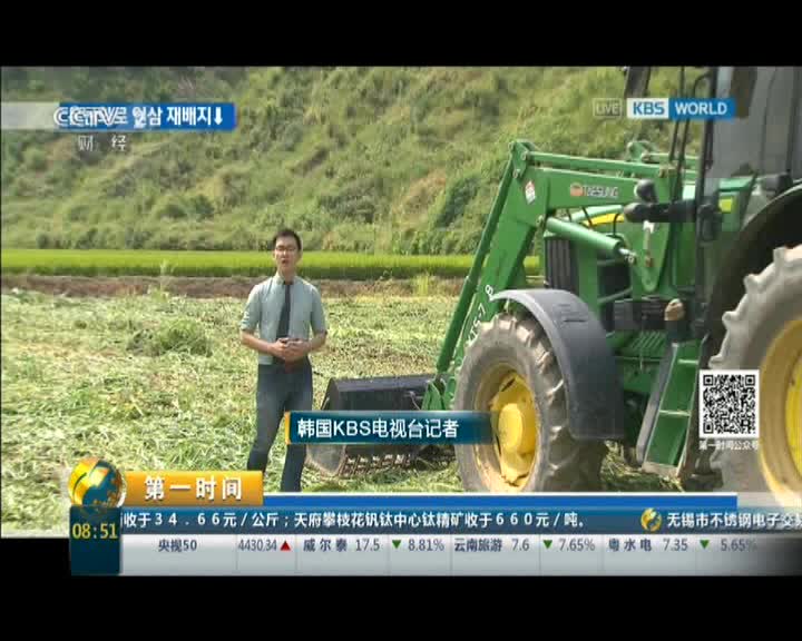 韩国人参行业市场亮红灯