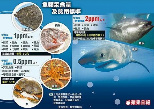 据《苹果日报》报道,深海鱼体内含多种重金属,以甲基汞毒性最强,而据