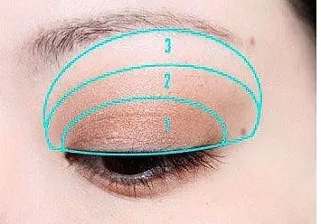【平涂法】   平涂法就是用单色眼影,以扇形的形状为主