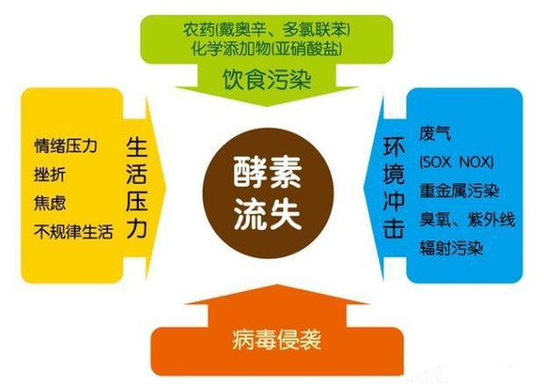 v垃圾小垃圾:排空酵素水果3天自制体内偏方了暴食食断期间怎么办图片