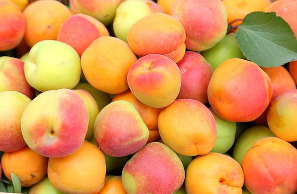 实拍:最适合亲子同乐的水果游戏