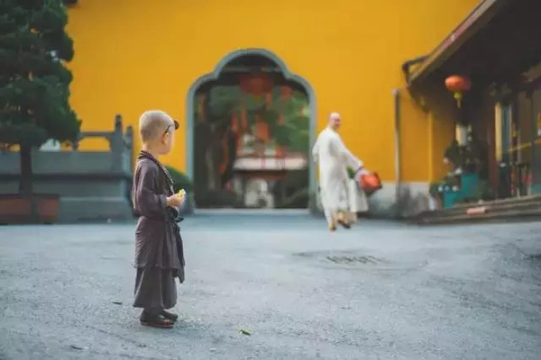 灵隐寺年仅两岁的最萌"小和尚"图片
