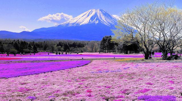 日本富士山旅游攻略 富士山景点交通美食介绍