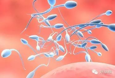 男性常吃这些食物,可有效提高精子质量~
