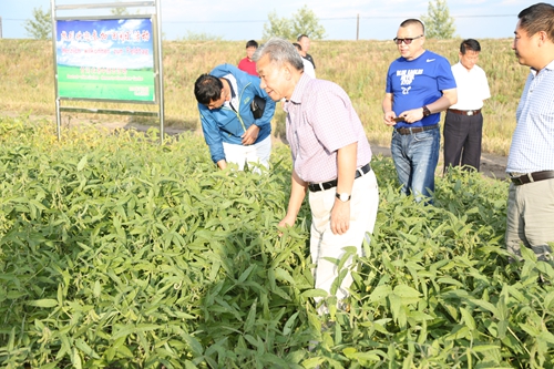 国家重大农业科技项目评审专家李广臣等到农场
